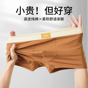 雅鹿男士内裤纯棉男生2026新款抗菌四角裤衩男款青少年平角短裤头