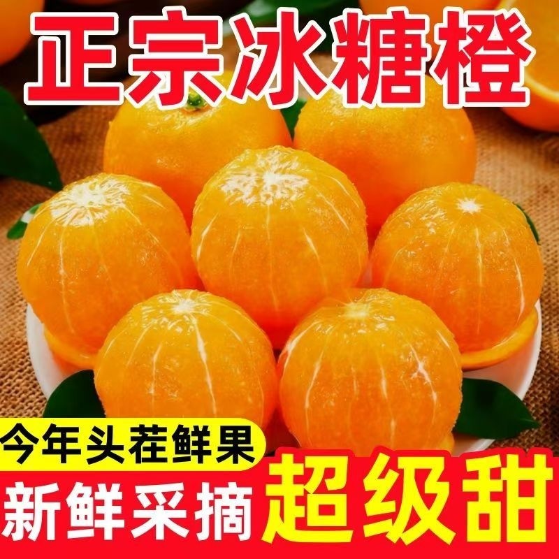 湖南麻阳冰糖橙当季新鲜水果自家果园自采自营新鲜水果现摘脐橙子