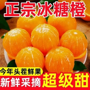 湖南麻阳冰糖橙当季 新鲜水果自家果园自采自营新鲜水果现摘脐橙子