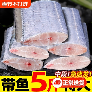 海鱼带鱼段新鲜冷冻四指特宽特大带鱼段中段国产深海海鲜海捕刀鱼