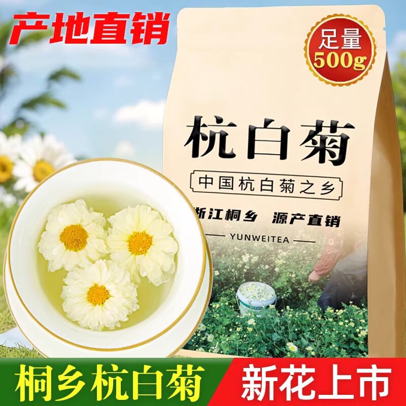 正宗桐乡杭白菊官方旗舰店正品白菊花特级菊花茶中药材的商用新花