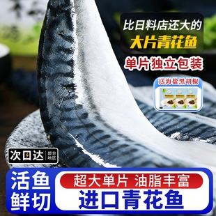 青花鱼挪威进口青花鱼片日式 鲜活新鲜去无骨鲭鱼烤青占鱼商用冷冻