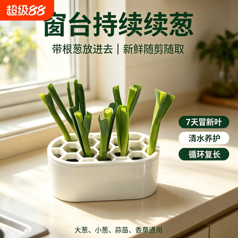 家用蜂窝水培葱盒小葱保鲜神器窗台蒜苗香草种植培育盒水培种菜盒