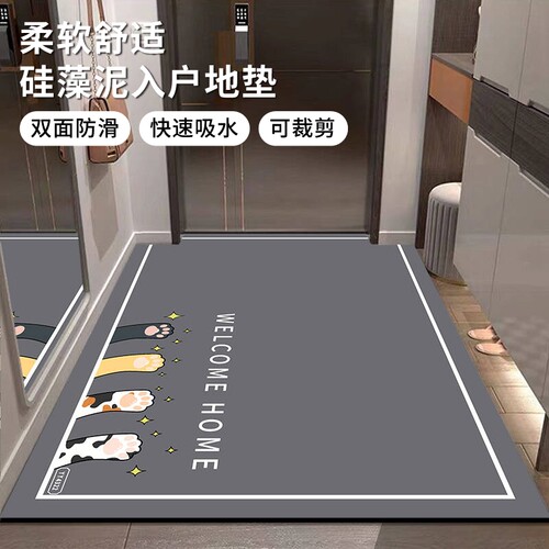 地垫入户门垫进门门口防滑垫子脚垫免洗脚踏垫硅藻泥吸水耐脏室外 - 封面