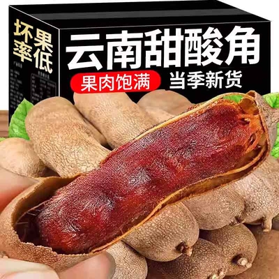 甜酸角云南特产新鲜孕妇儿童零食