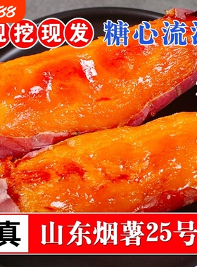 烟薯25号沙地蜜薯糖心红薯小新鲜红皮心烟台农科院烤山芋专用番薯