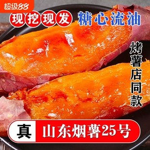 烟薯25号沙地蜜薯糖心红薯小新鲜红皮心烟台农科院烤山芋专用番薯