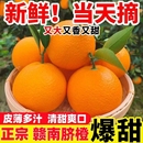 优选皮薄 包邮 正宗赣南脐橙新鲜橙子当季 水果手剥冰糖甜橙大果整箱