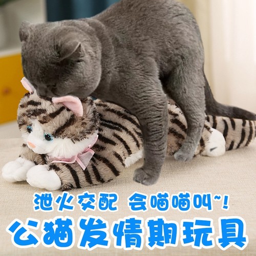 猫咪泻火公猫发情期玩具交配陪睡宠物性伴侣假母猫陪伴玩偶缓解