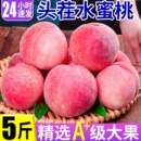 新鲜水蜜桃现摘毛桃蜜桃宝宝孕妇水果自然熟桃子天水果园精选大果