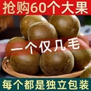 罗汉果干果独立包装 旗舰店广西桂林特产泡茶泡水喝大果花茶 正品
