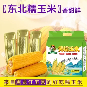 美域稻乡东北铝箔黄糯玉米250-280g*8支