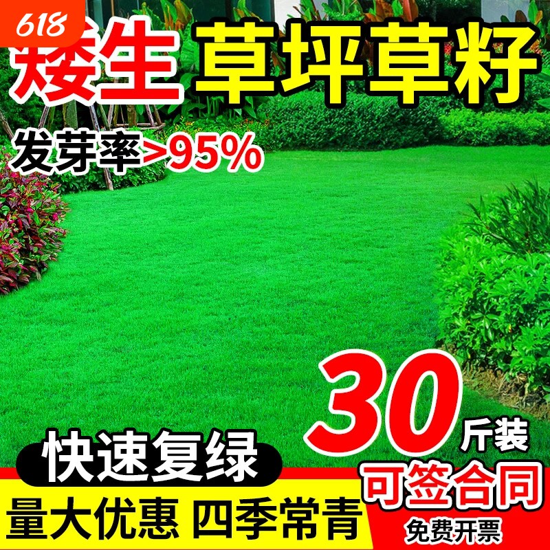 草坪草籽护坡固土四季常青狗牙根矮生草皮庭院绿化黑麦草种子混播
