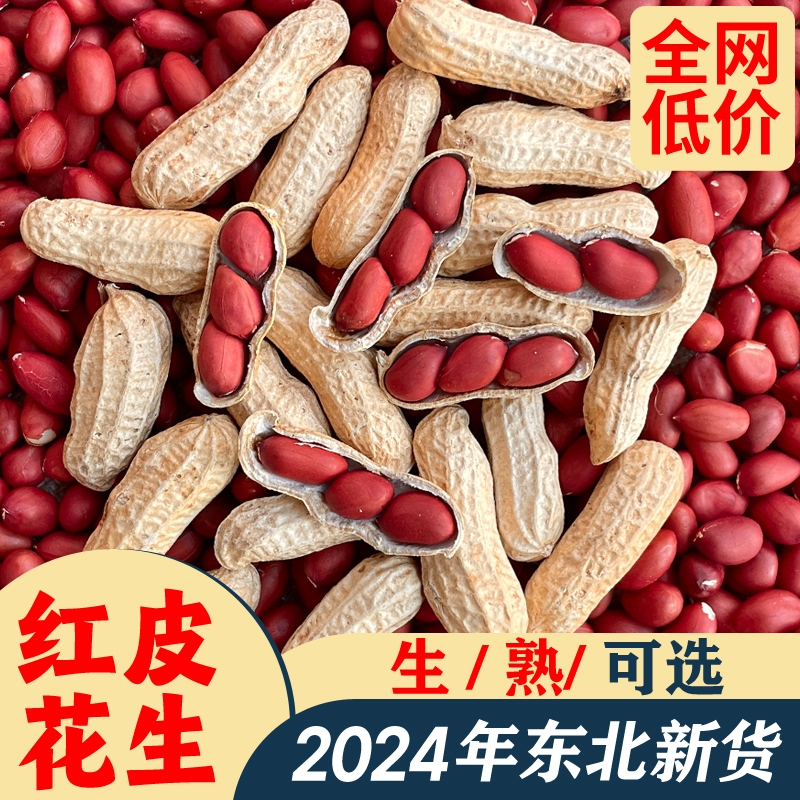 精选东北红皮花生24年农家新货带壳四粒红花生米新鲜五谷杂粮批发