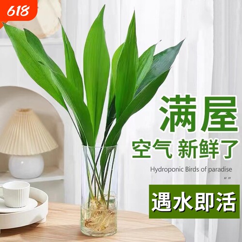 基地直销 新品特惠