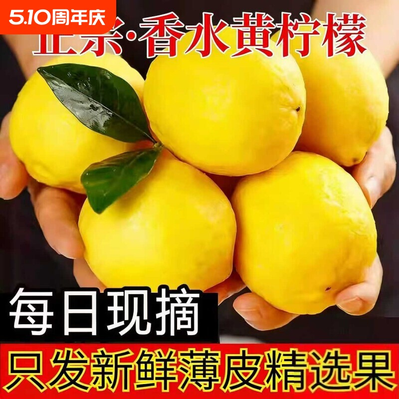 广东正宗黄柠檬新鲜非安岳当季香水柠檬奶茶店专用水果现摘大果