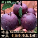 冰糖心脆面黑钻脆甜 包邮 圣诞甘肃黑卡苹果正宗当季 新鲜水果整箱