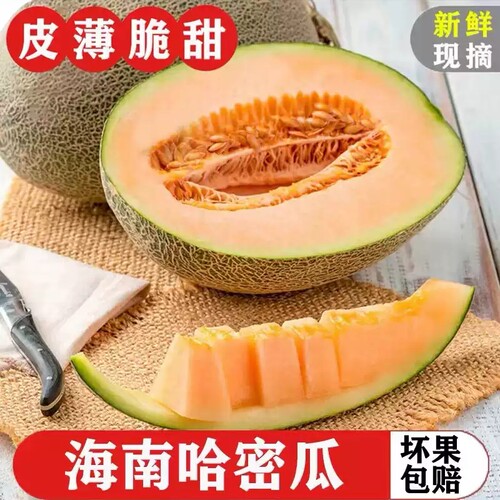 哈密瓜大果哈蜜瓜孕妇水果新货