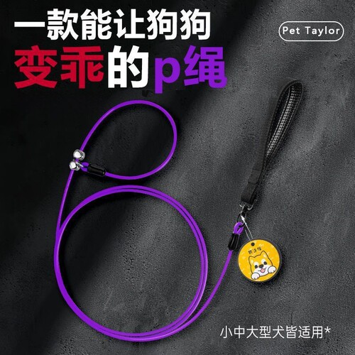 狗狗牵引绳防爆冲p绳遛狗绳子钢丝p链大型犬中小型犬狗链子防咬