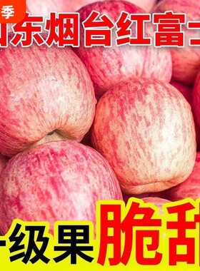 山东烟台红富士苹果薄皮苹果新鲜孕妇水果自然糖心脆甜优质大果