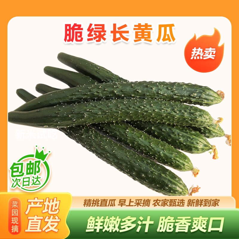 山东农家自种现摘现发精品长黄瓜应季新鲜蔬菜带刺生吃青瓜3斤5斤