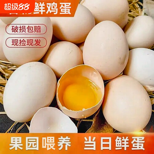 谷饲喂养鲜鸡蛋新鲜笨鸡蛋农场直供草鸡蛋美味早餐谷物农家粉壳