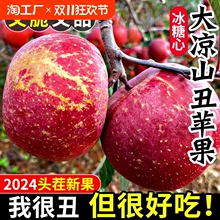 正宗冰糖心丑苹果5斤中果带箱