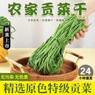 2025贡菜干货西南特产农家火锅食材新鲜苔菜干晒干蔬菜响菜贡菜干