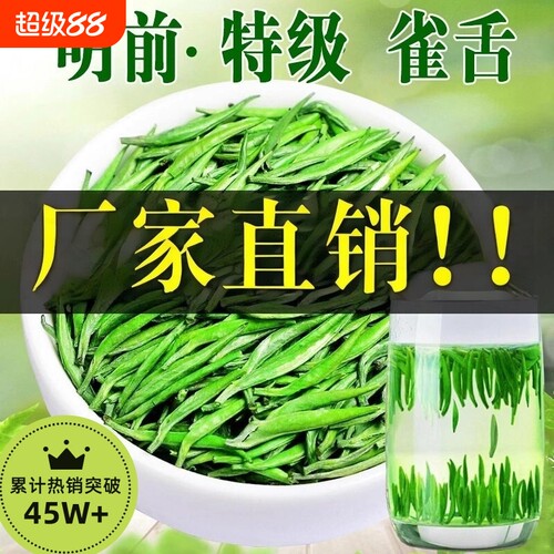 特级贵州明前春雀舌绿茶