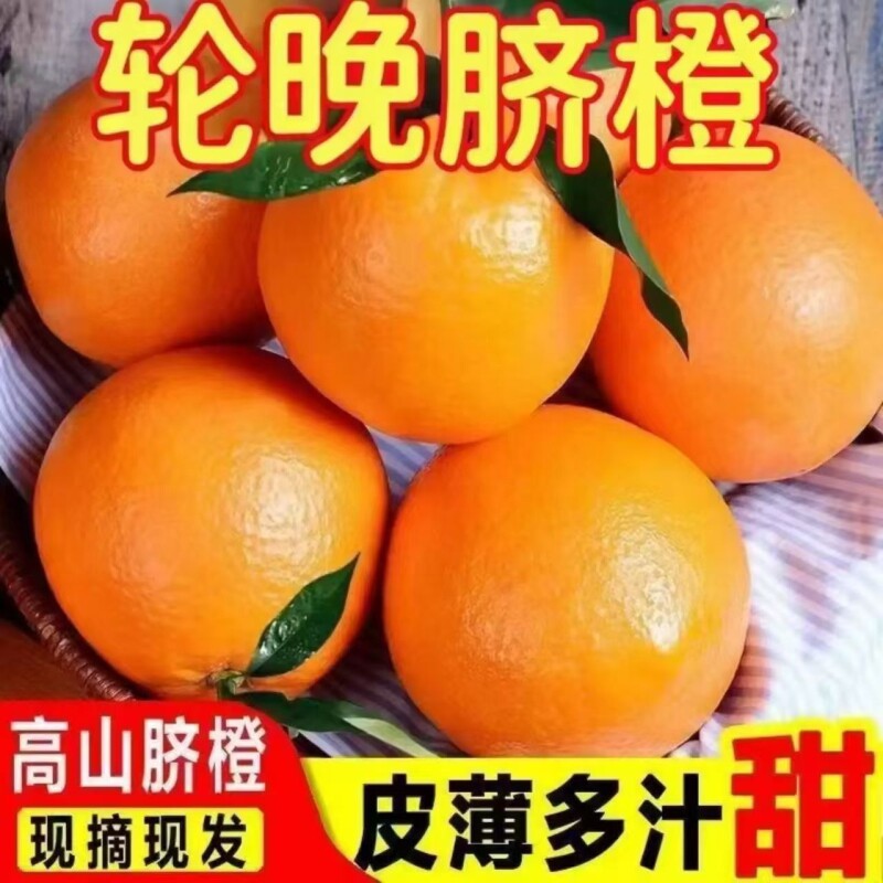 伦晚脐橙秭归橙子新鲜薄皮多汁现摘现发季水果甜橙春橙大果
