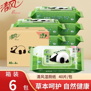 清风小熊猫湿厕纸擦屁屁私处孕妇女士可用湿手纸洁厕湿巾家用批发