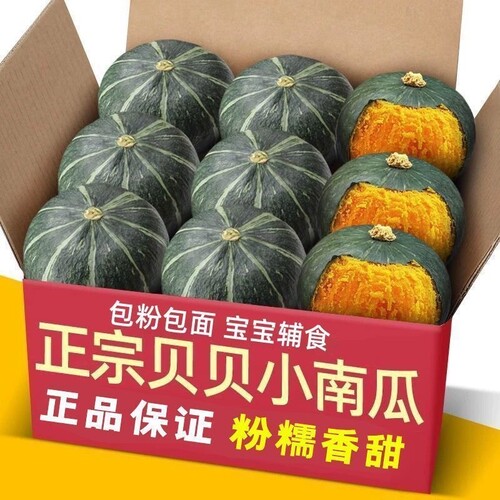 贝贝南瓜正宗板栗味板栗小南瓜