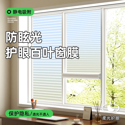 卫生间浴室透光不透人防窥贴膜