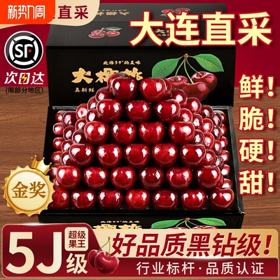 大连大樱桃2J3J4J5J鲜果车厘子新鲜当季水果美早大樱桃顺丰包邮