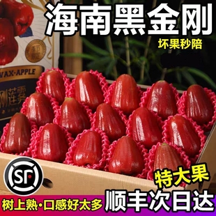 【顺丰京东】海南三亚黑金刚莲雾精品大果脆甜多汁新鲜包邮连雾