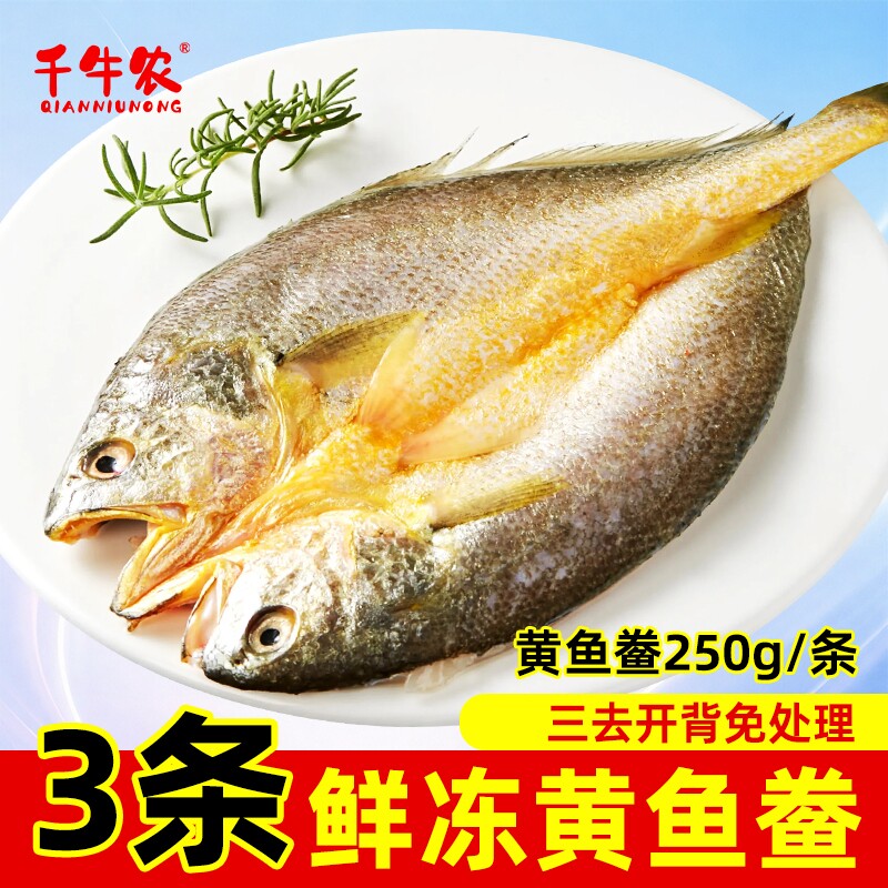 千牛农冷冻黄鱼鲞三去免杀免处理图片