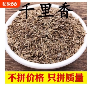 千里香 500g九里香百里香莳萝籽火锅卤菜香料 天然增香调味料调料