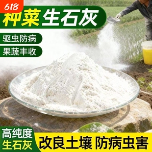 种菜专用石灰粉生石灰杀虫消毒干燥剂菜地驱蛇粉土壤杀菌病虫害