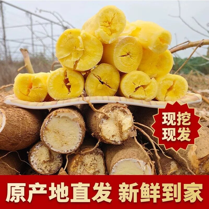 正宗广西黄心木薯新鲜当季粉糯Q弹黄肉面包木薯粗粮热销甜品木薯