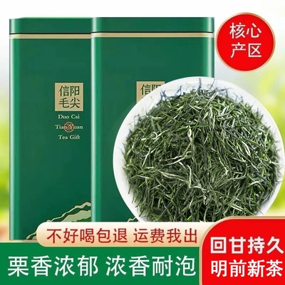 毛尖茶叶绿茶一级信阳毛尖2025新茶一芽一叶明前嫩芽散装炒青雨前