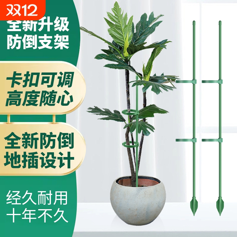 园艺支撑杆花架固定器蝴蝶兰花支架固定花神器防倒花杆爬藤金钱树