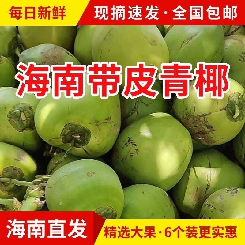 正宗海南青椰椰青新鲜椰子海南青皮带皮青椰孕妇水果直发整箱包邮