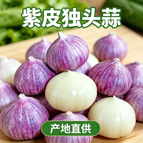 独头蒜干蒜大蒜头新鲜蒜紫皮圆头