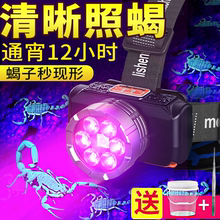 照蝎子专用灯强光头戴式手电筒可充电两用大功率超亮紫光超长续航