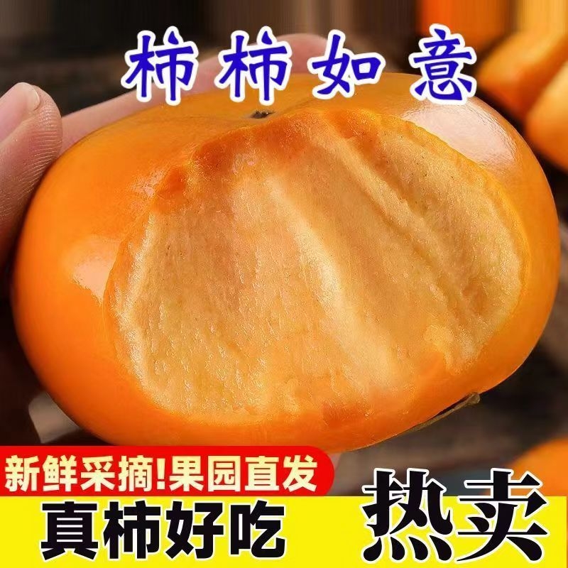 彩箱发货现摘脆柿子脆甜巧克力阳丰甜脆柿新鲜水果当季好吃果园