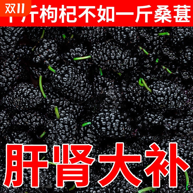 桑葚干黑桑椹不特级洗果干新鲜货大颗粒官方旗舰店泡酒泡茶水果