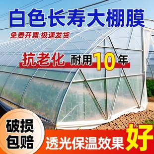 大棚塑料膜薄膜塑料布加厚保温种菜种植小拱棚膜农用植物菜园透明