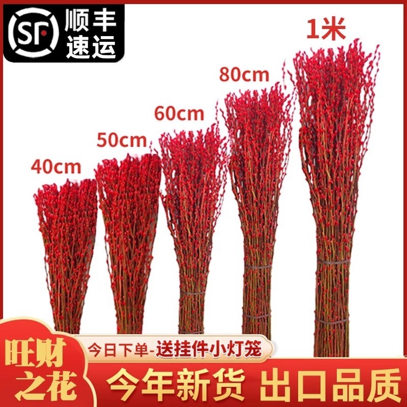 银柳真花鲜枝干花摆件室内客厅鲜花绿植新年花卉植物过年摆放水培,鲜花速递/花卉仿真/绿植园艺,时令草本花卉,淘宝优惠券,粉丝福利购,淘宝优惠卷