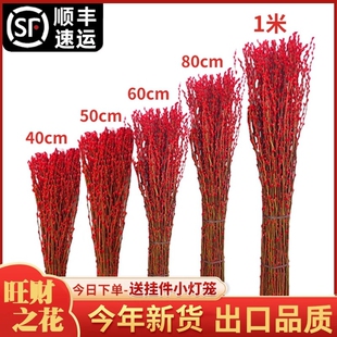 银柳真花鲜枝干花摆件室内客厅鲜花绿植新年花卉植物过年摆放水培