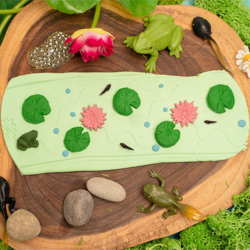Natura手工diy彩泥模具橡皮泥工具儿童环保多色认知塑性玩具 - 实物图